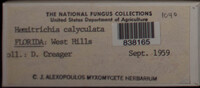 Image Associated With the Occurence